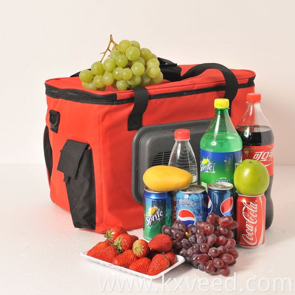 12V Plug 24L Portable Travel Electrical Picnic Cooler Bag For Car